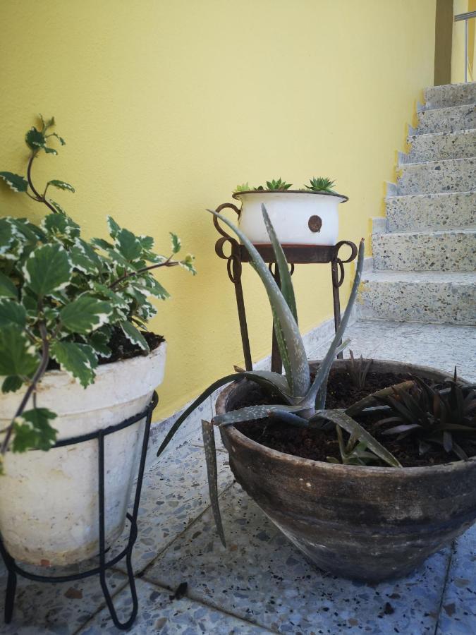 A Maquia Do Pousavedra Sober Bagian luar foto