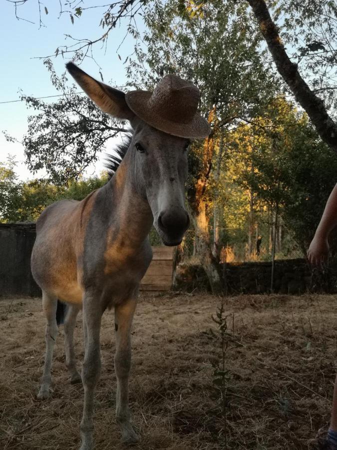 A Maquia Do Pousavedra Sober Bagian luar foto